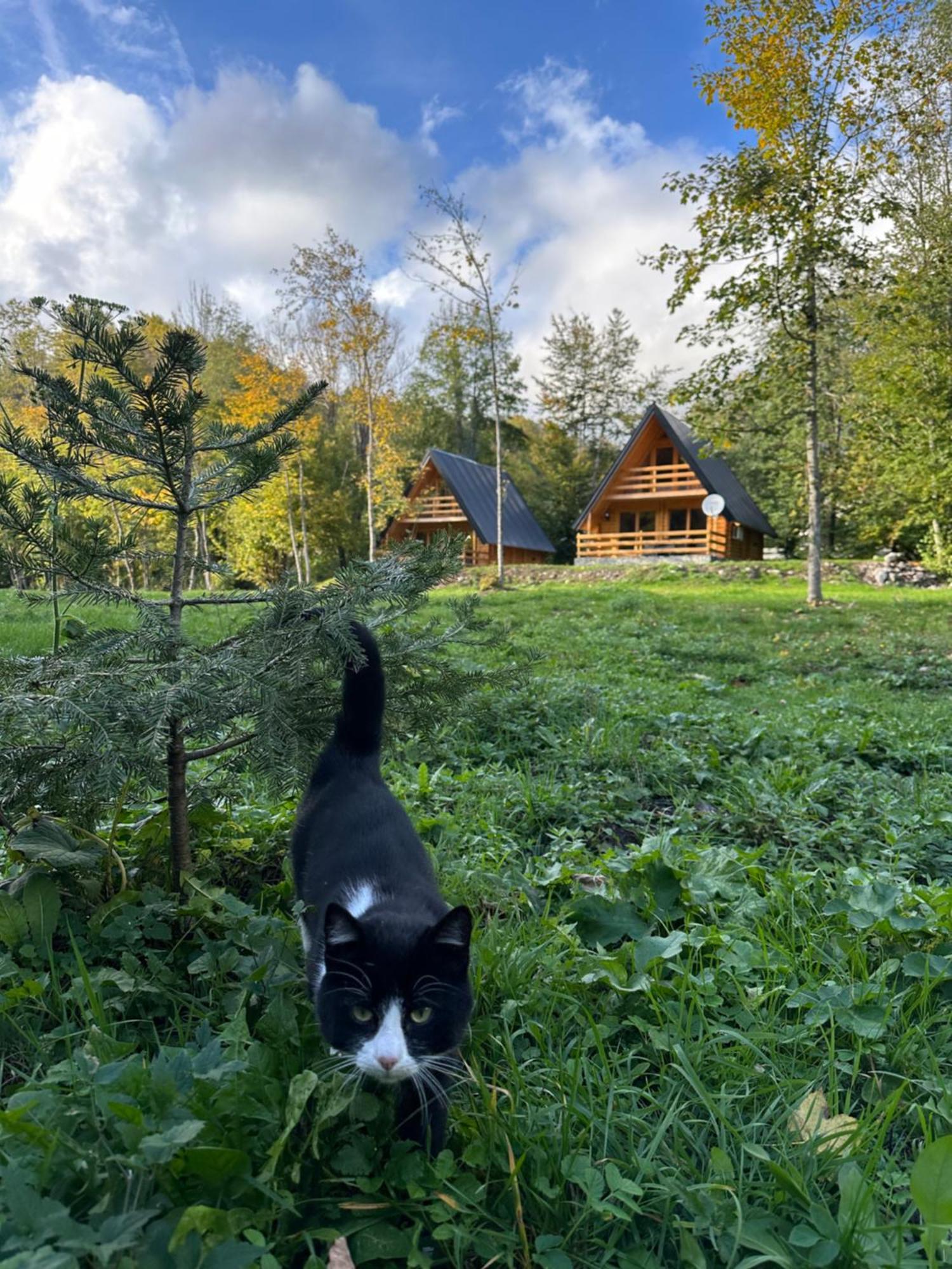 Ethno Village Long Story Kolašin Exteriér fotografie